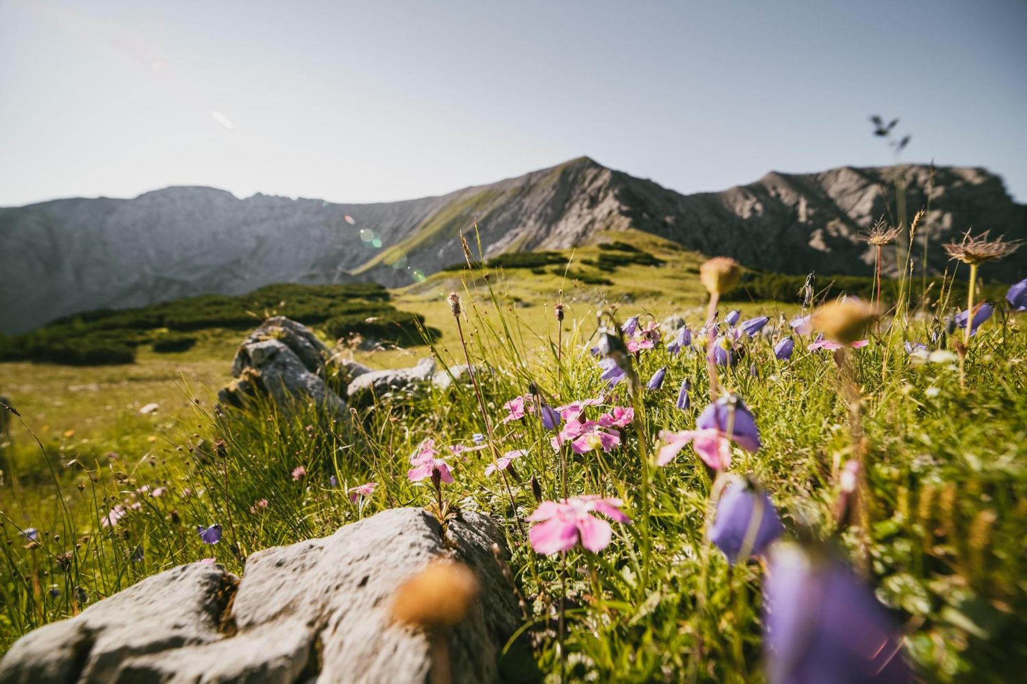 Triforet Alpin Resort Hinterstoder Exteriér fotografie