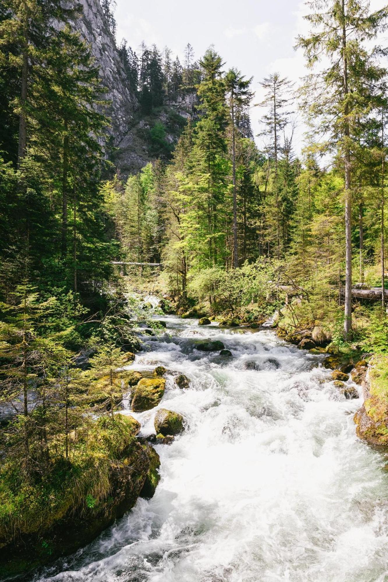 Triforet Alpin Resort Hinterstoder Exteriér fotografie